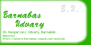barnabas udvary business card